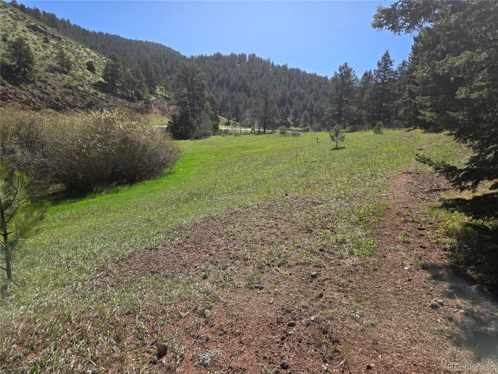 Foxton Road Conifer CO 80433