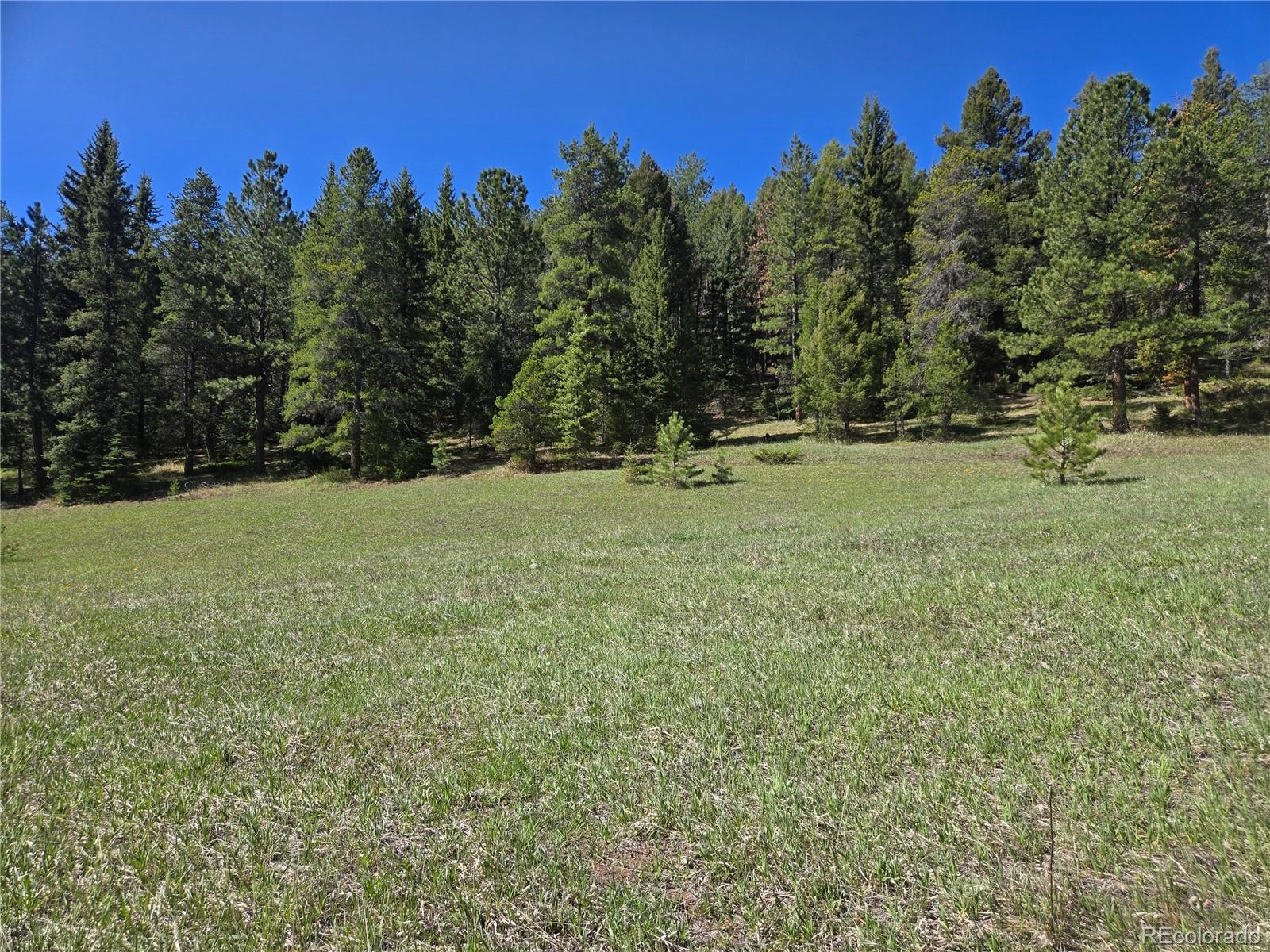 Foxton Road Conifer CO 80433