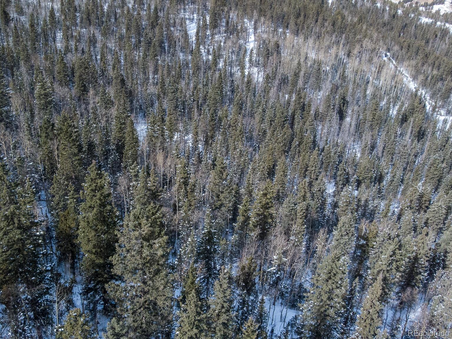 R0029767 Cripple Creek CO 80813