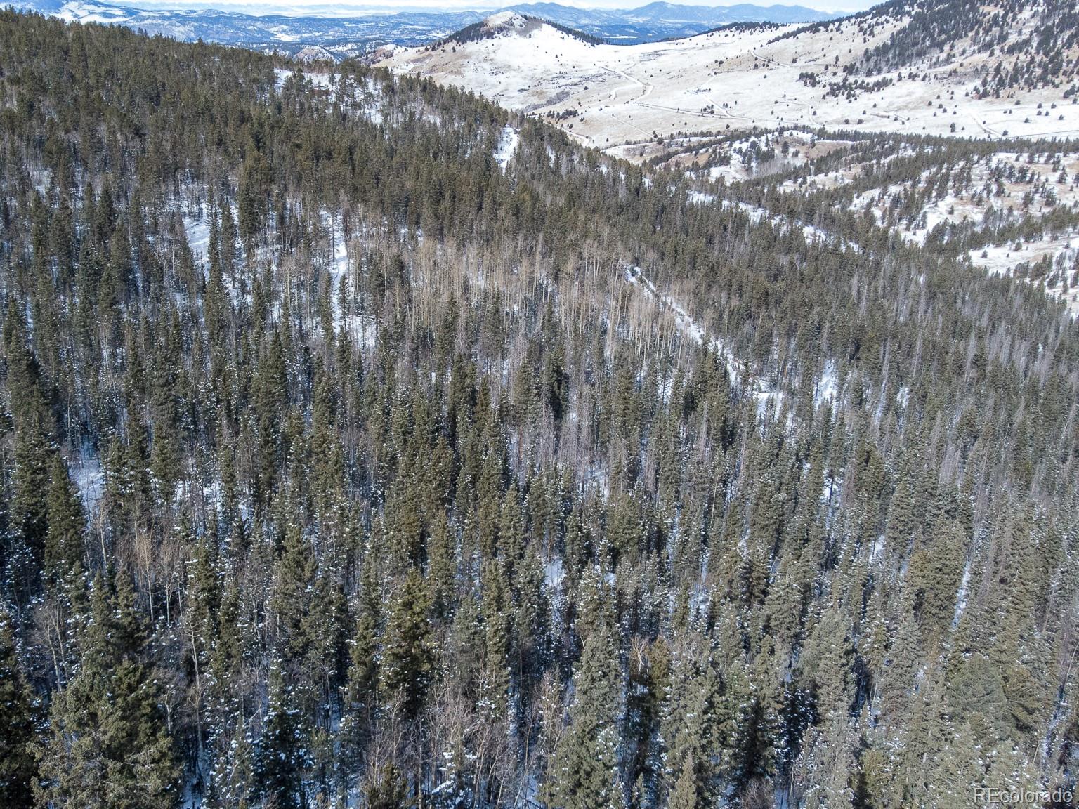 R0029767 Cripple Creek CO 80813