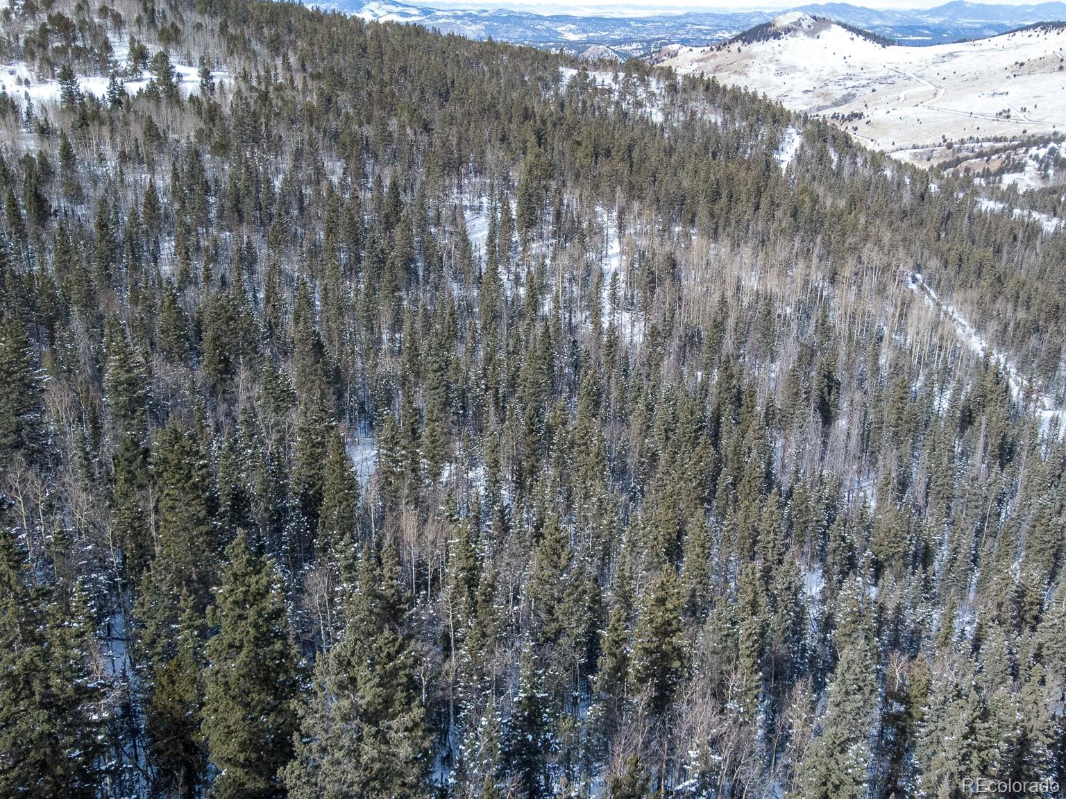 R0029767 Cripple Creek CO 80813