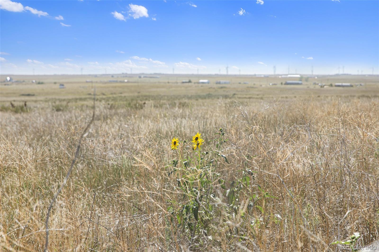 36290 Wagner Lane Calhan CO 80808