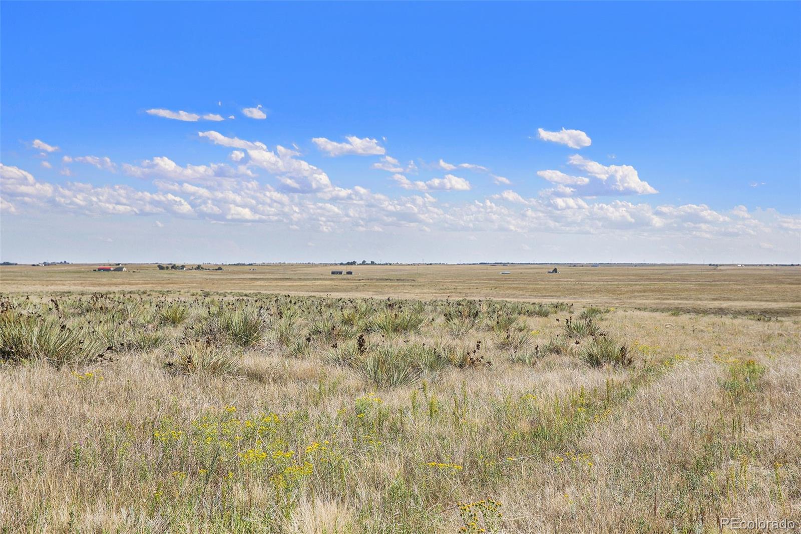 36290 Wagner Lane Calhan CO 80808