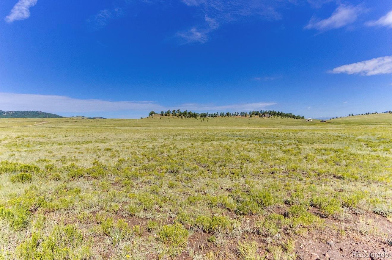 281 Cr-98 Florissant CO 80816