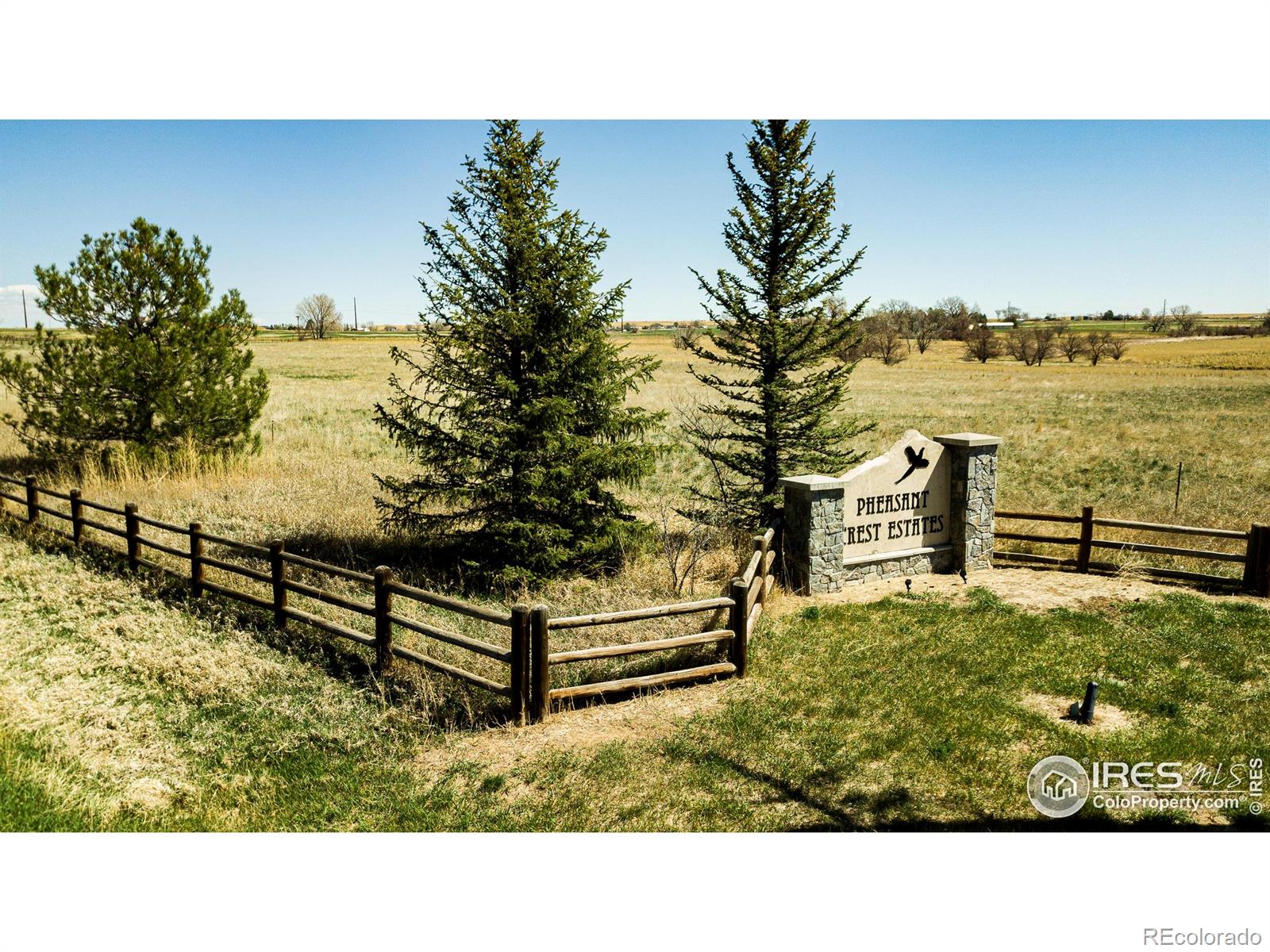 6146 Pheasant Crest Drive Fort Collins CO 80524