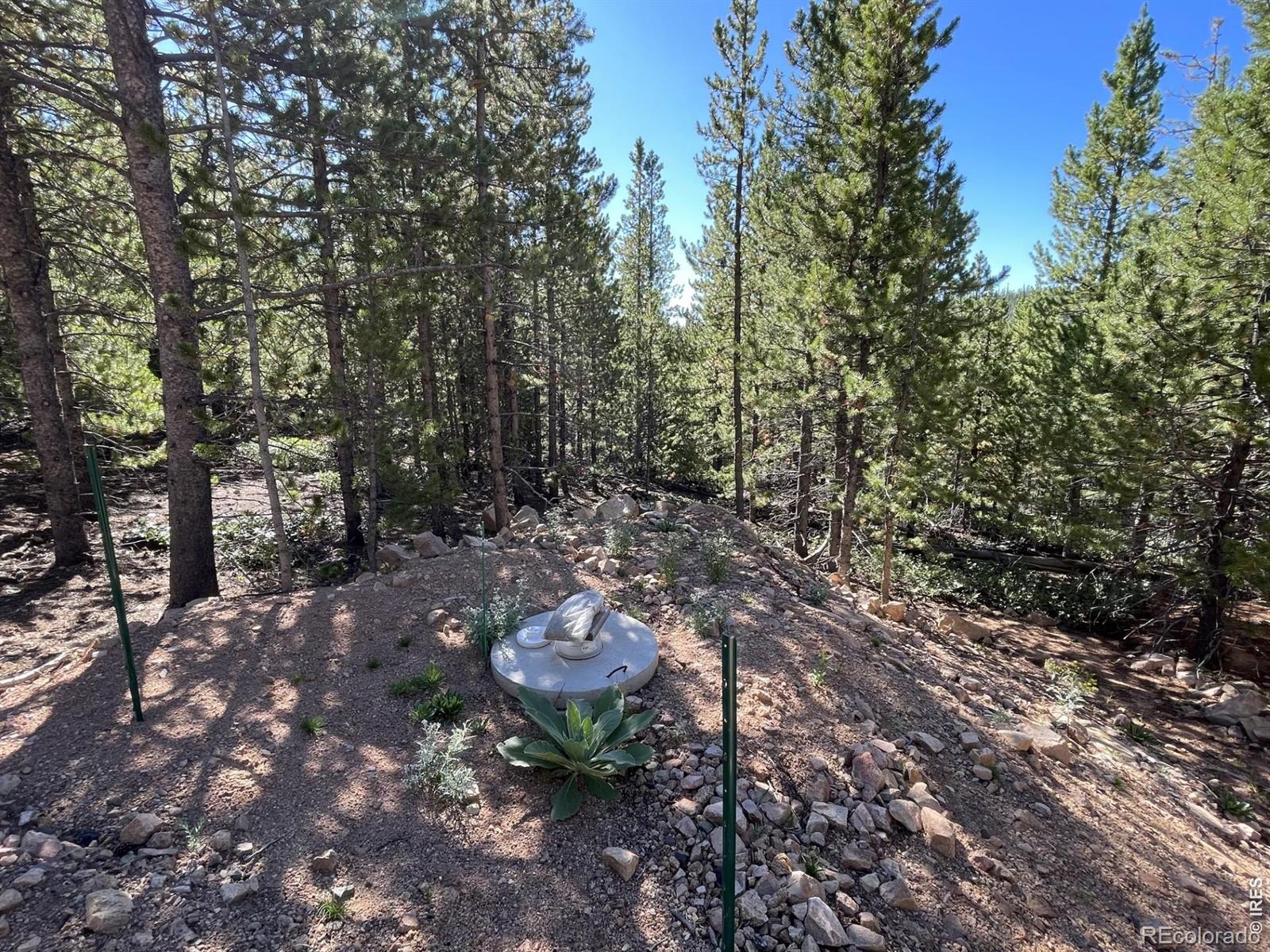 125 Penobscot Court Red Feather Lakes CO 80545