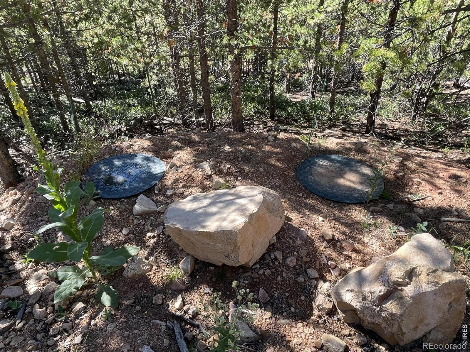 125 Penobscot Court Red Feather Lakes CO 80545