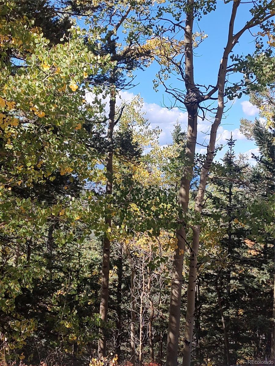 Lot 5374 Fort Garland CO 81133