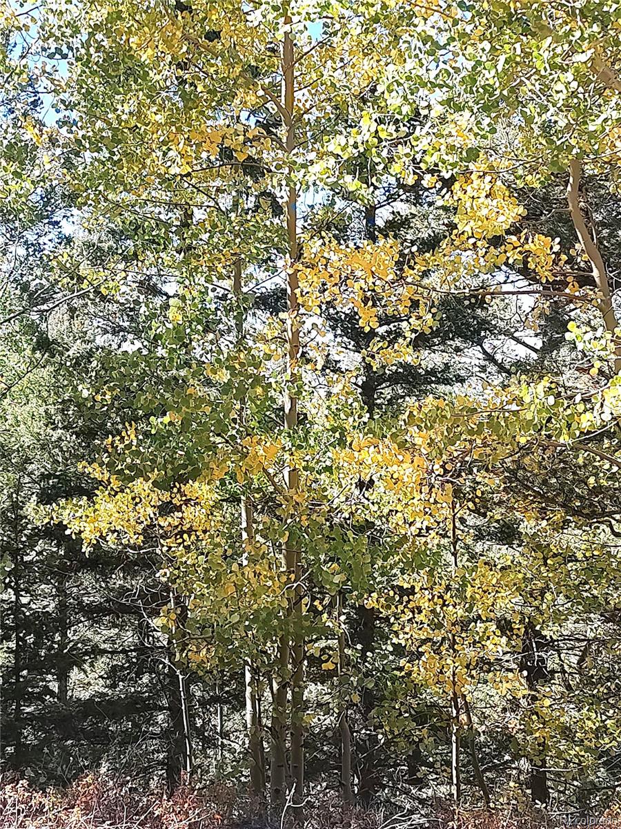 Lot 5374 Fort Garland CO 81133