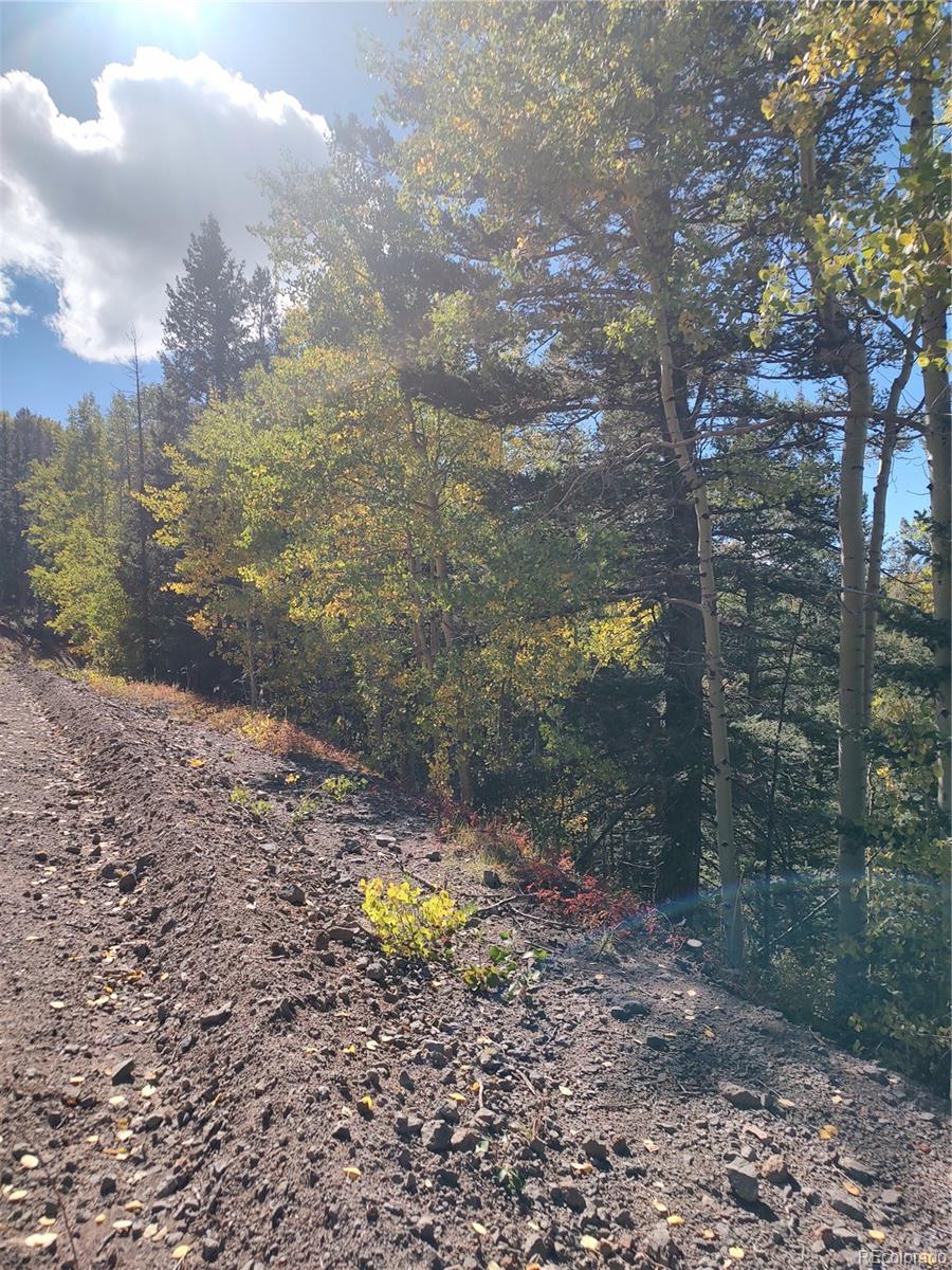 Lot 5374 Fort Garland CO 81133