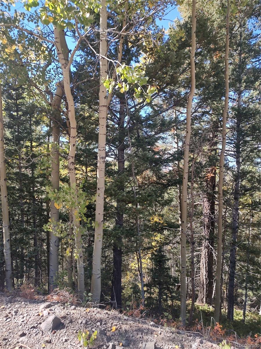 Lot 5374 Fort Garland CO 81133