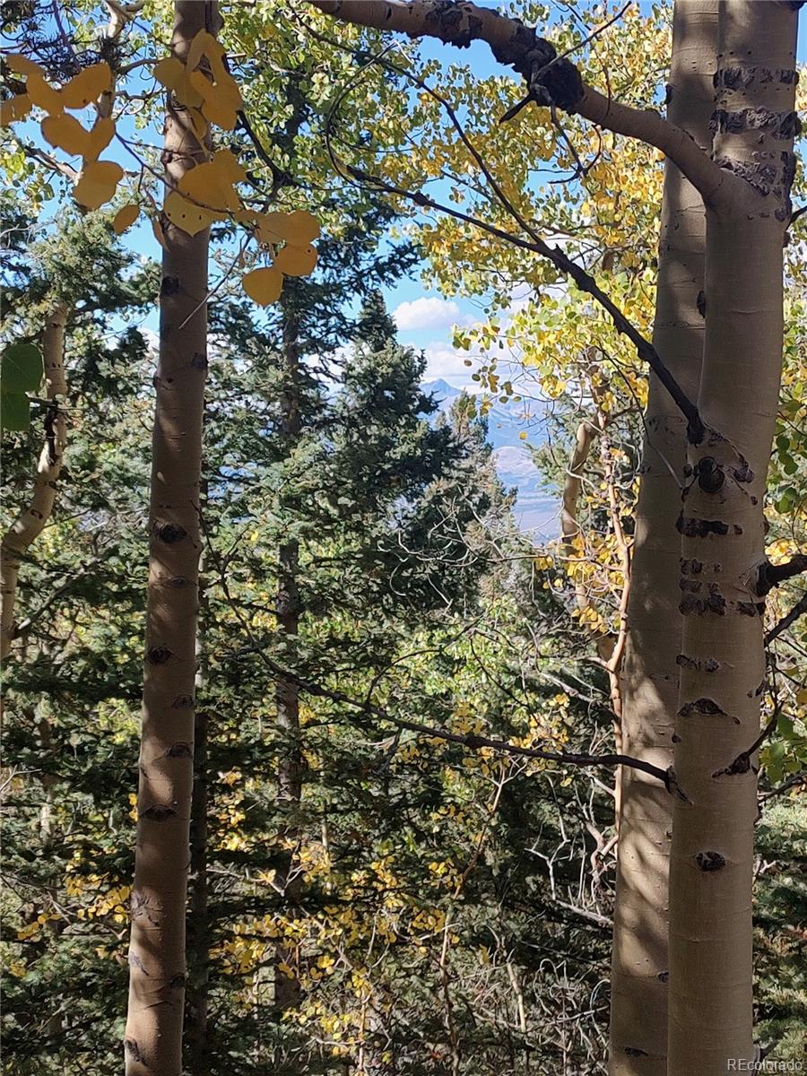 Lot 5374 Fort Garland CO 81133
