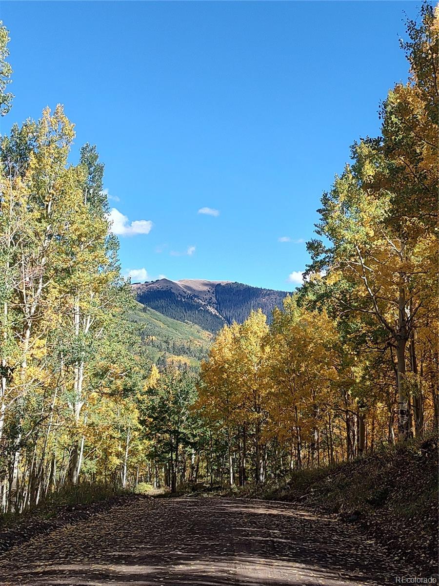 Lot 5374 Fort Garland CO 81133
