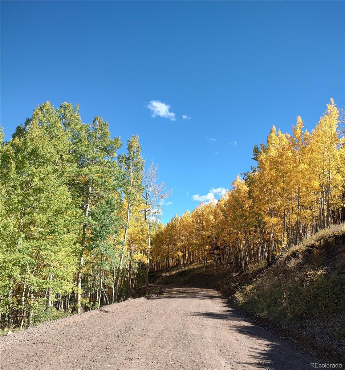 Lot 5374 Fort Garland CO 81133