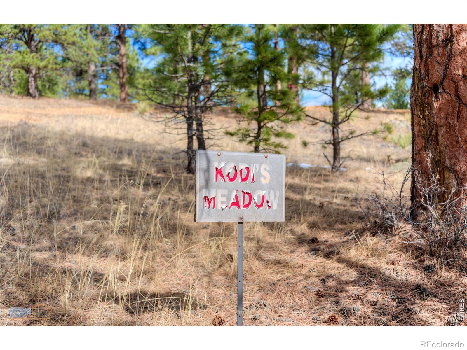 4346 Sunshine Canyon Drive Boulder CO 80302