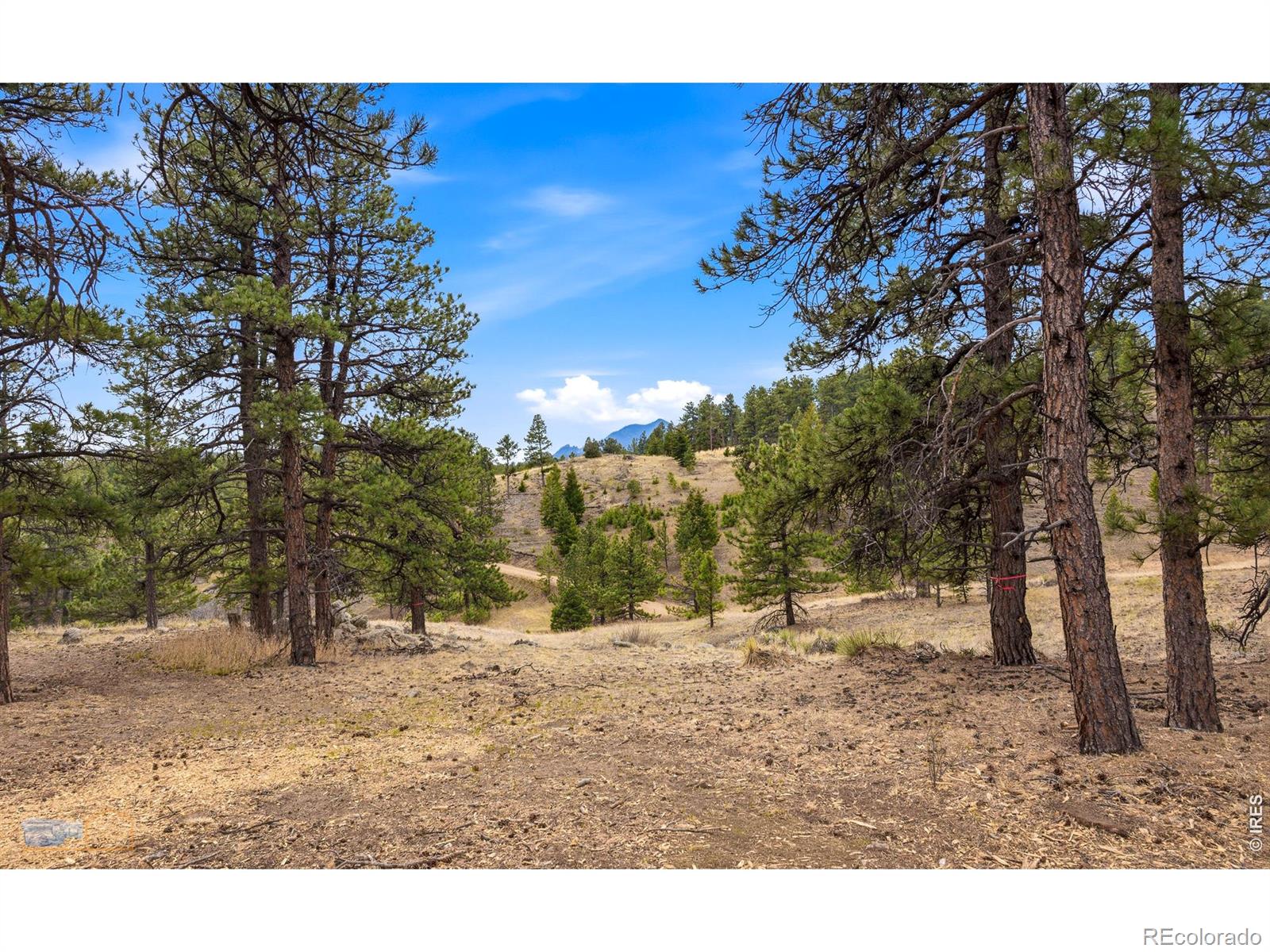 4346 Sunshine Canyon Drive Boulder CO 80302