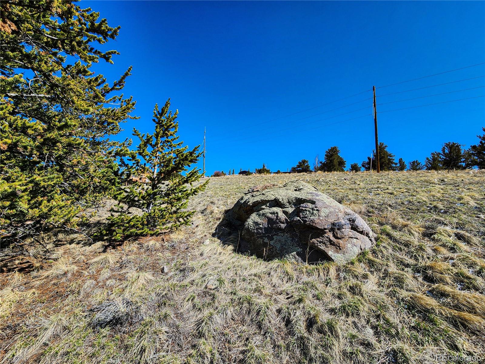 39 Platte View Drive Fairplay CO 80440