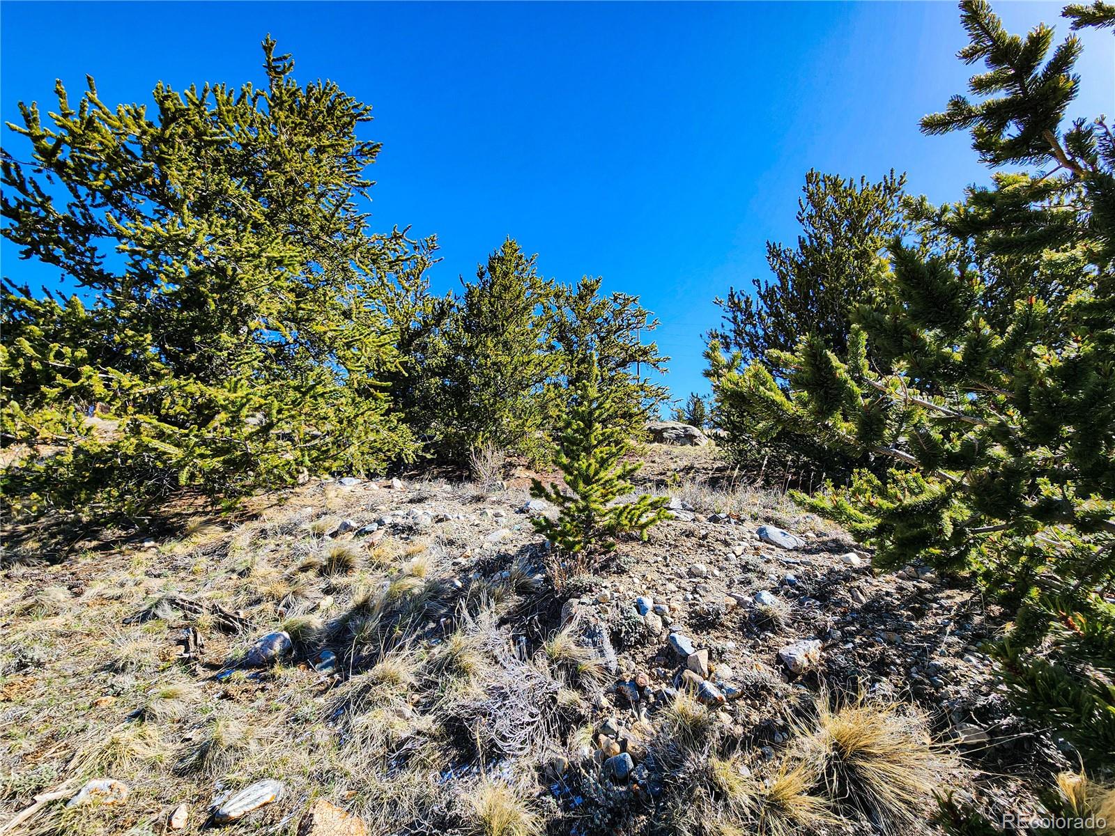 39 Platte View Drive Fairplay CO 80440