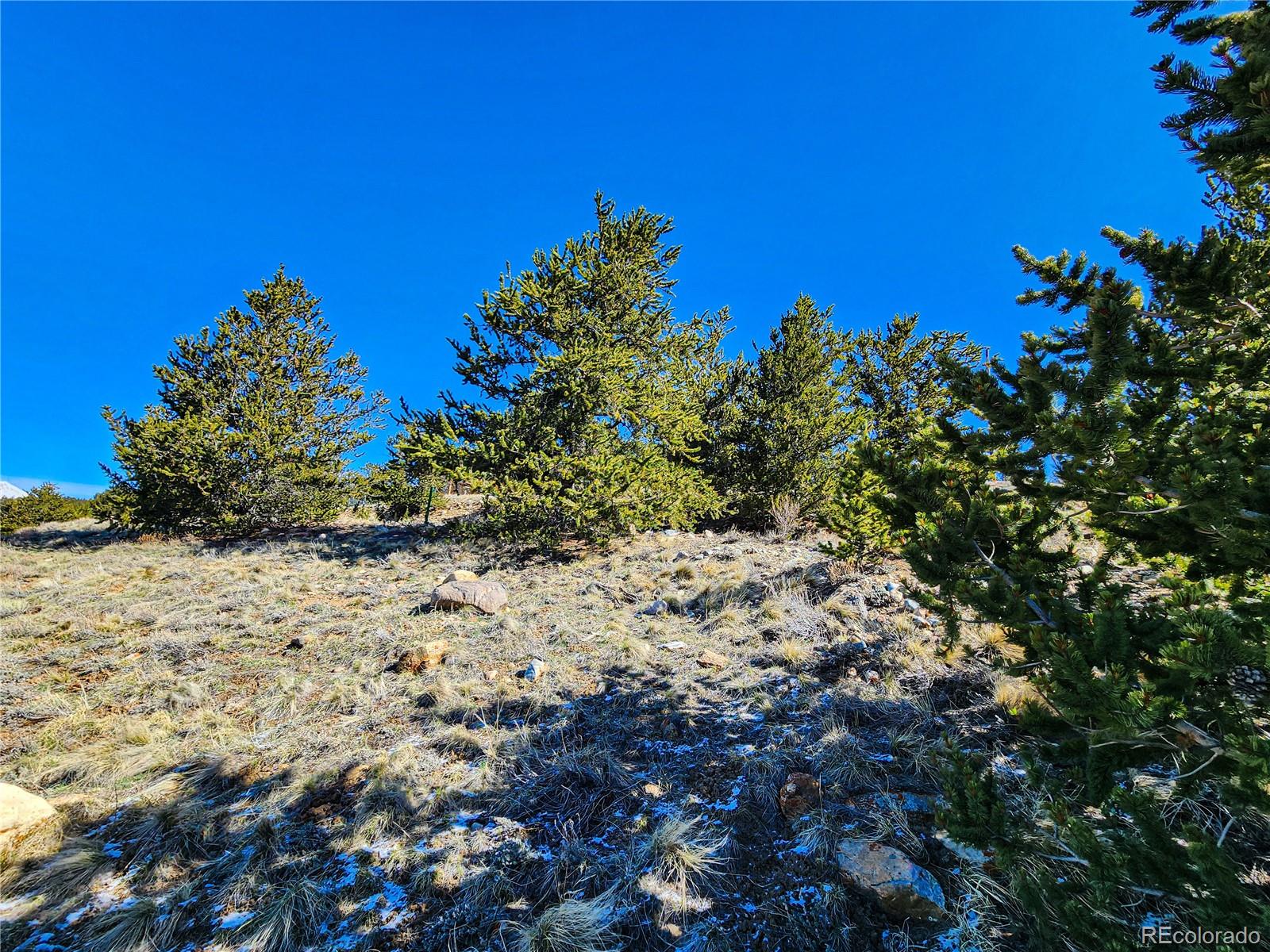39 Platte View Drive Fairplay CO 80440