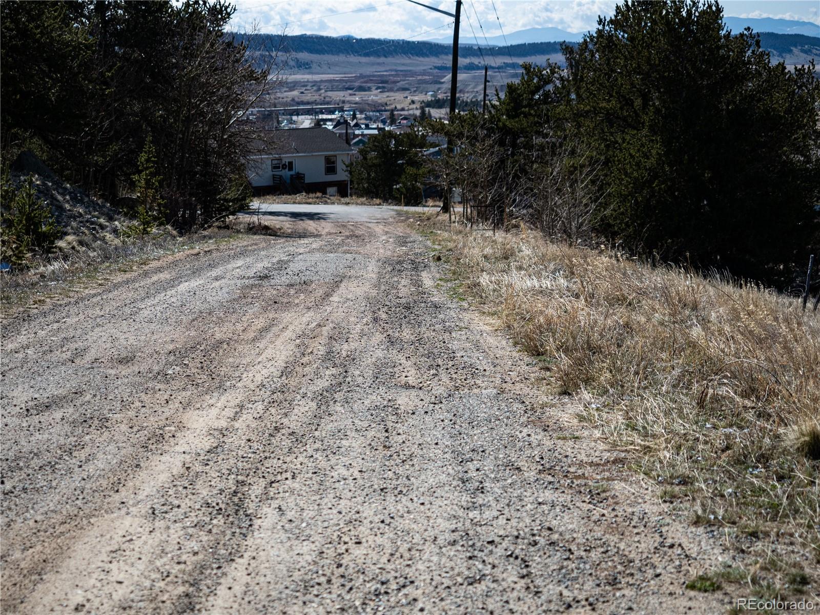 39 Platte View Drive Fairplay CO 80440