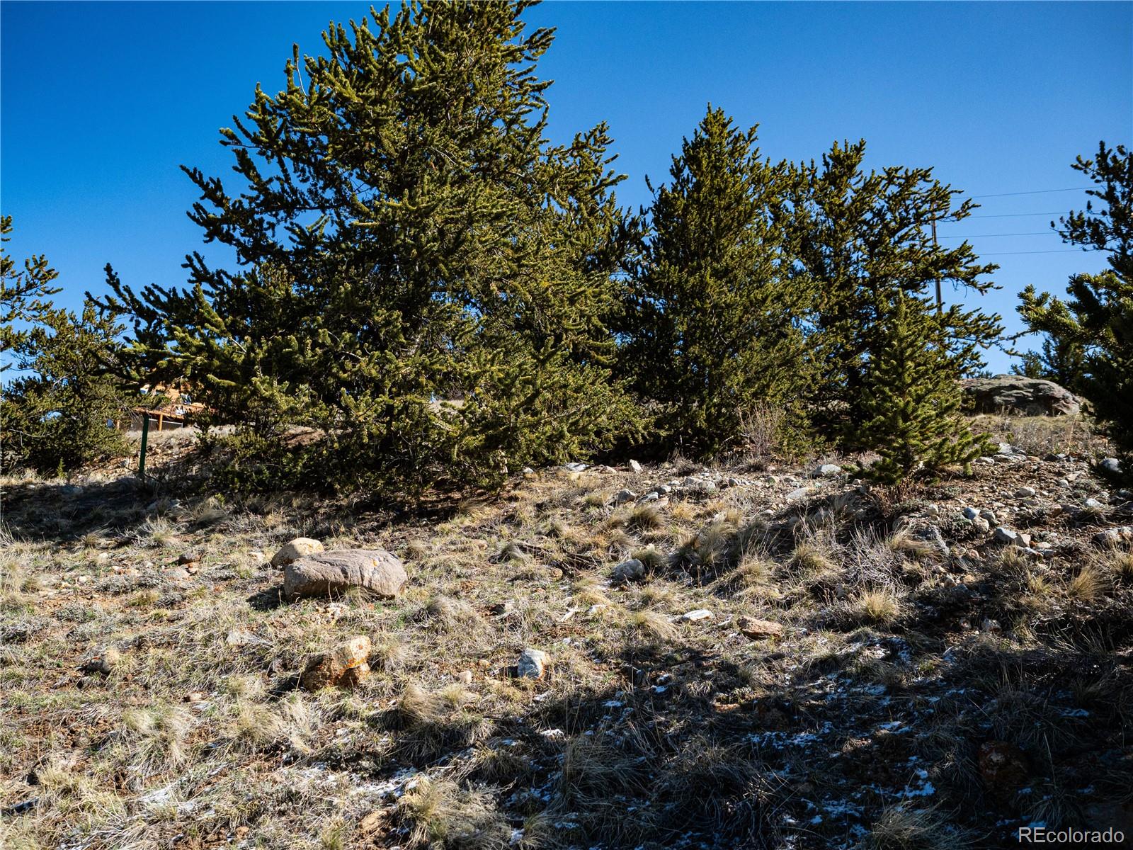 39 Platte View Drive Fairplay CO 80440