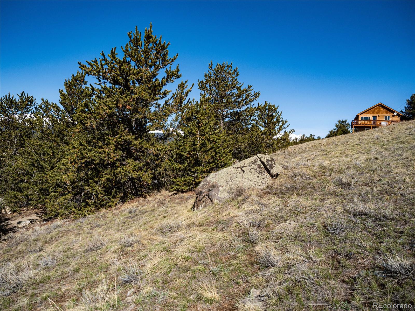 39 Platte View Drive Fairplay CO 80440