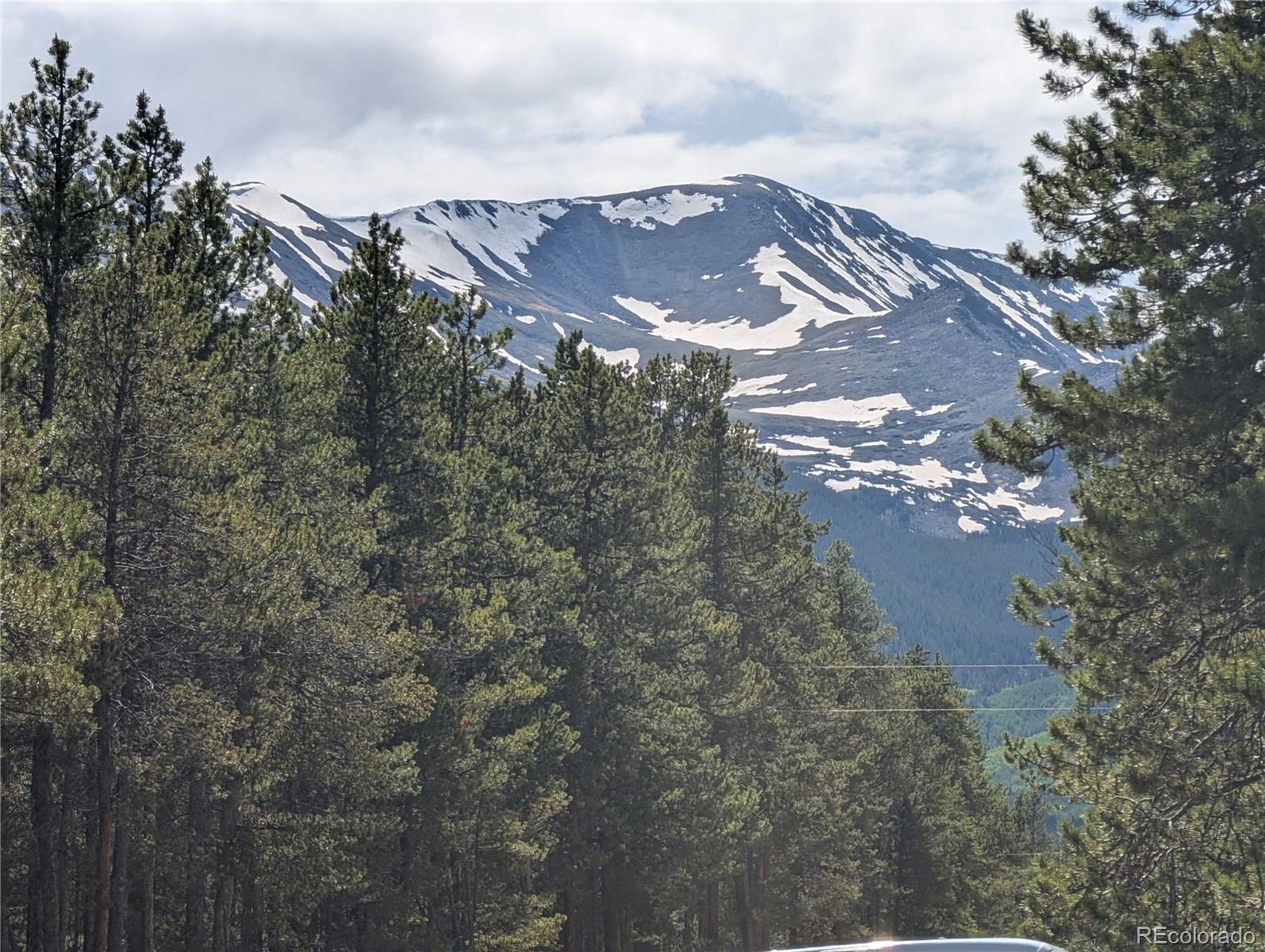 495 Birch Drive Twin Lakes CO 81251