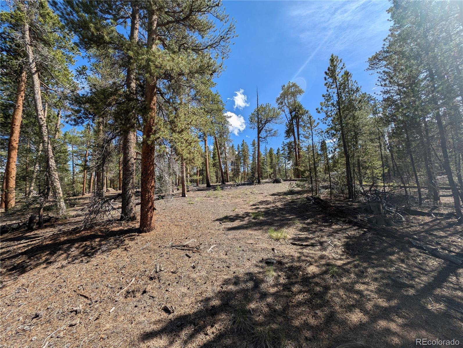 495 Birch Drive Twin Lakes CO 81251