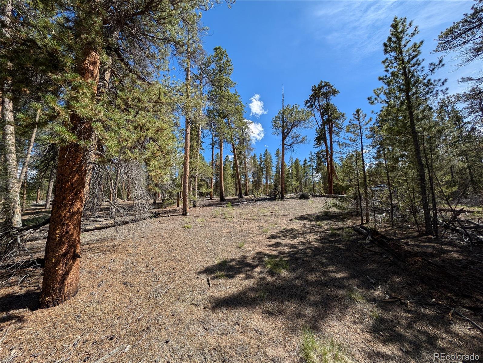 495 Birch Drive Twin Lakes CO 81251