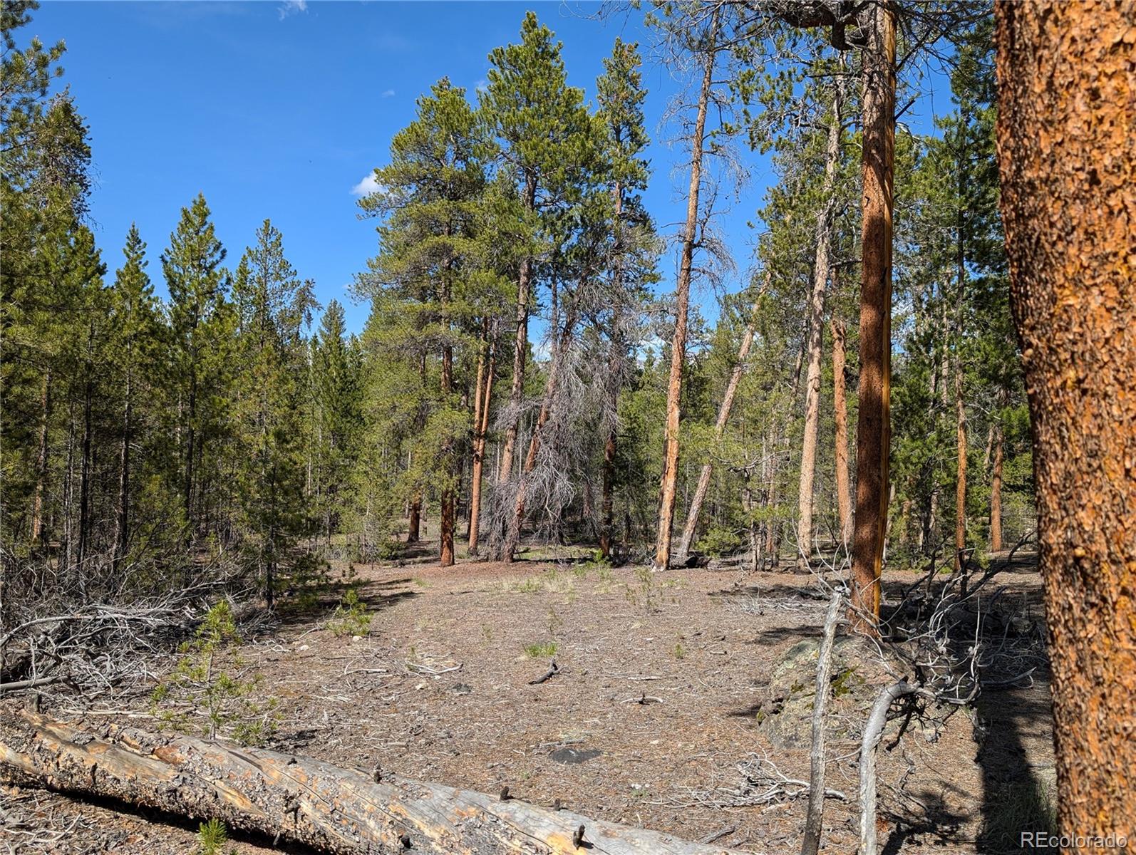 495 Birch Drive Twin Lakes CO 81251