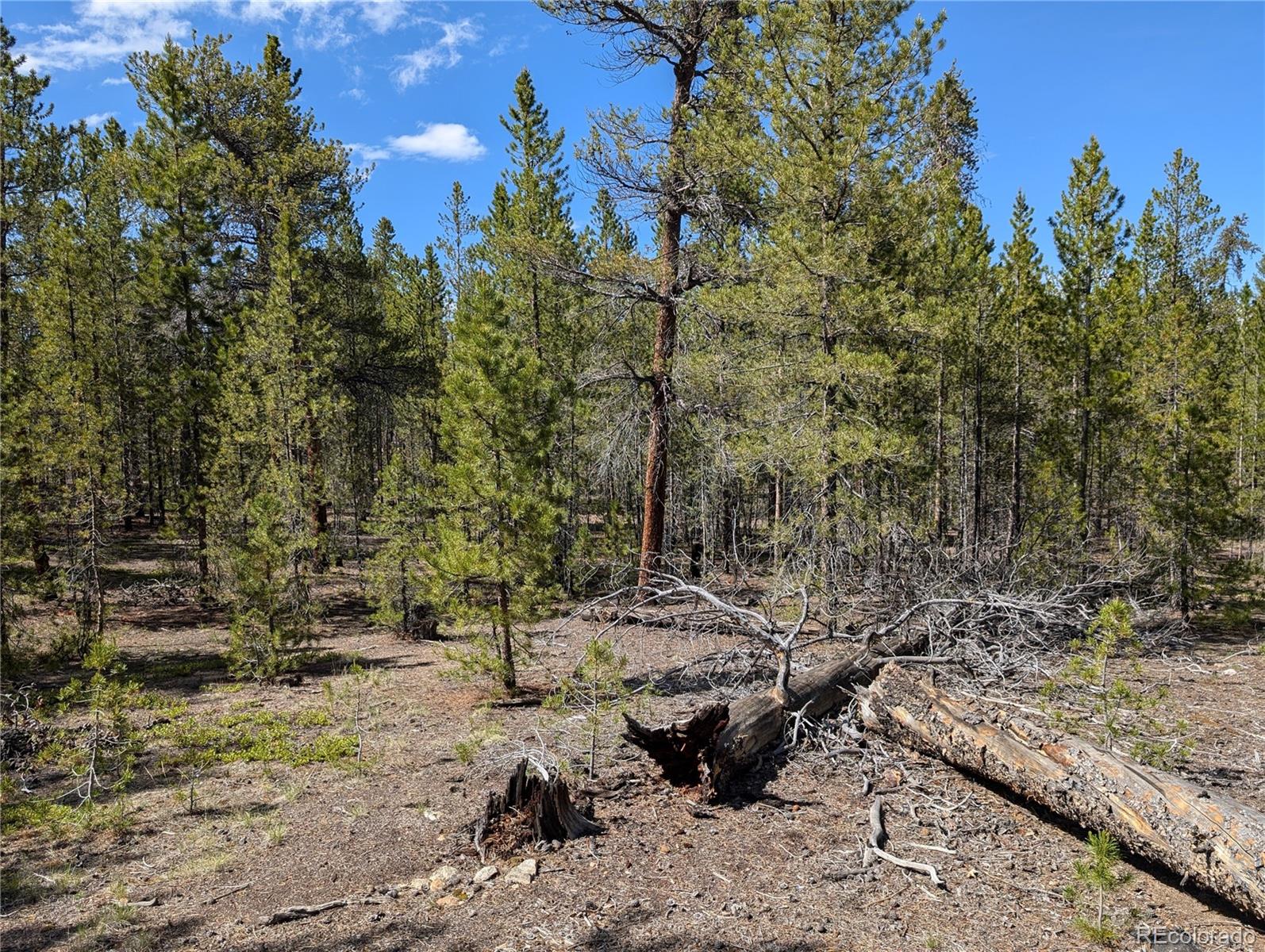 495 Birch Drive Twin Lakes CO 81251