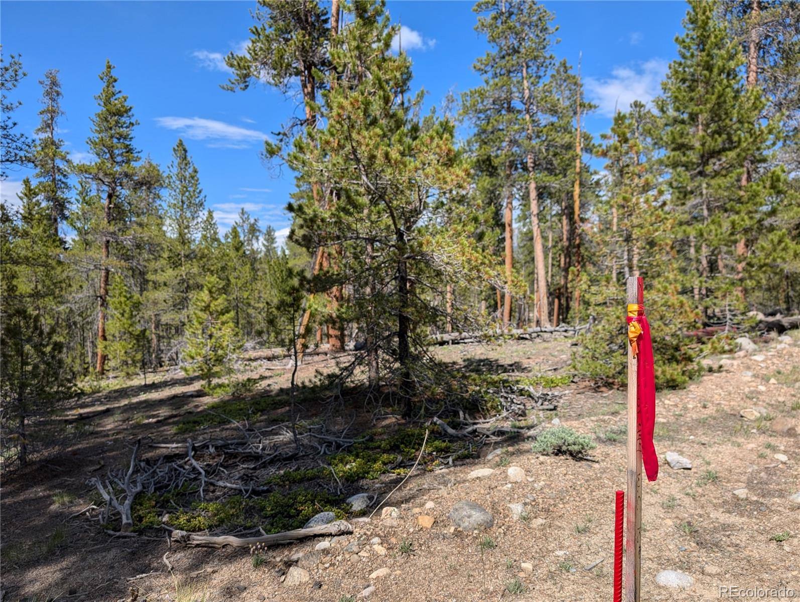495 Birch Drive Twin Lakes CO 81251