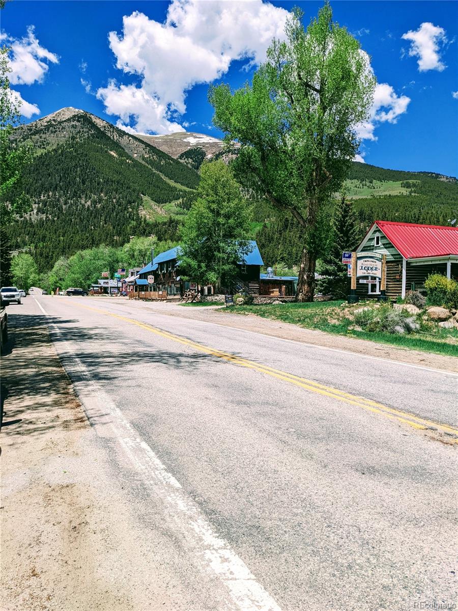 495 Birch Drive Twin Lakes CO 81251