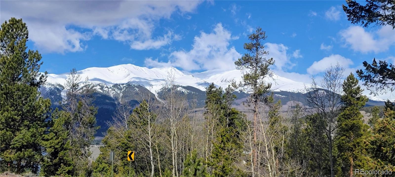 495 Birch Drive Twin Lakes CO 81251