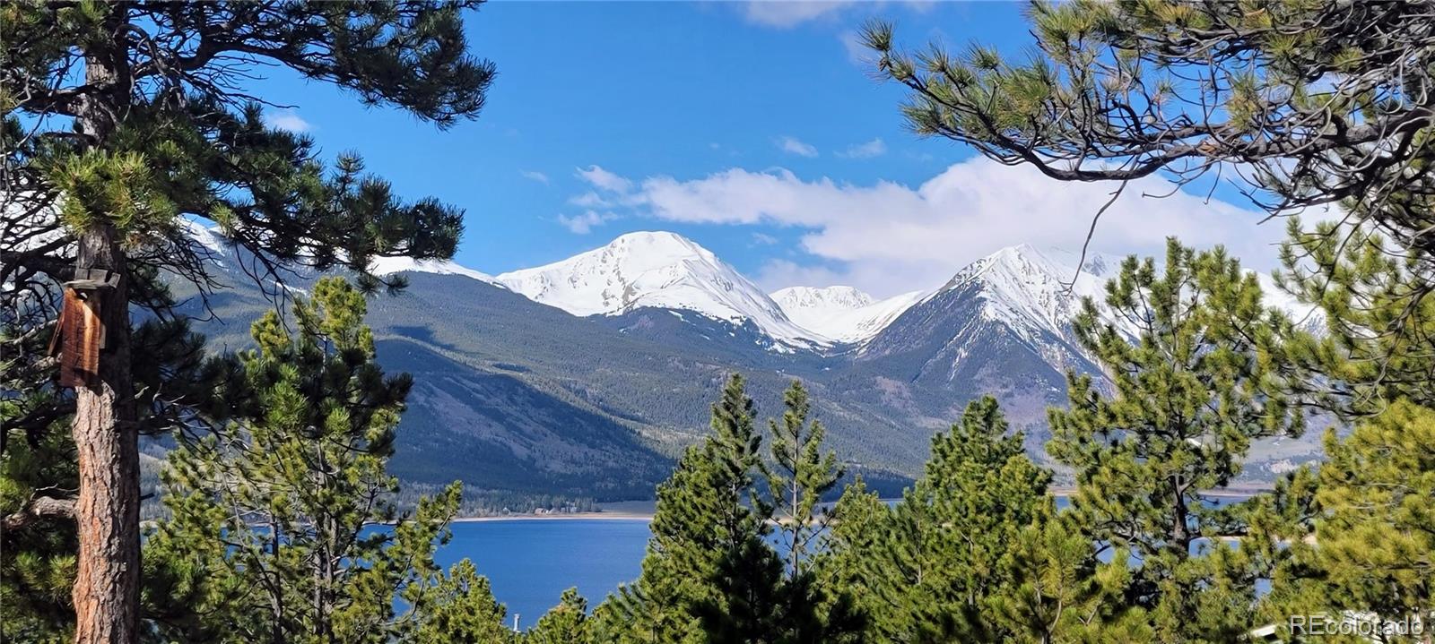 495 Birch Drive Twin Lakes CO 81251