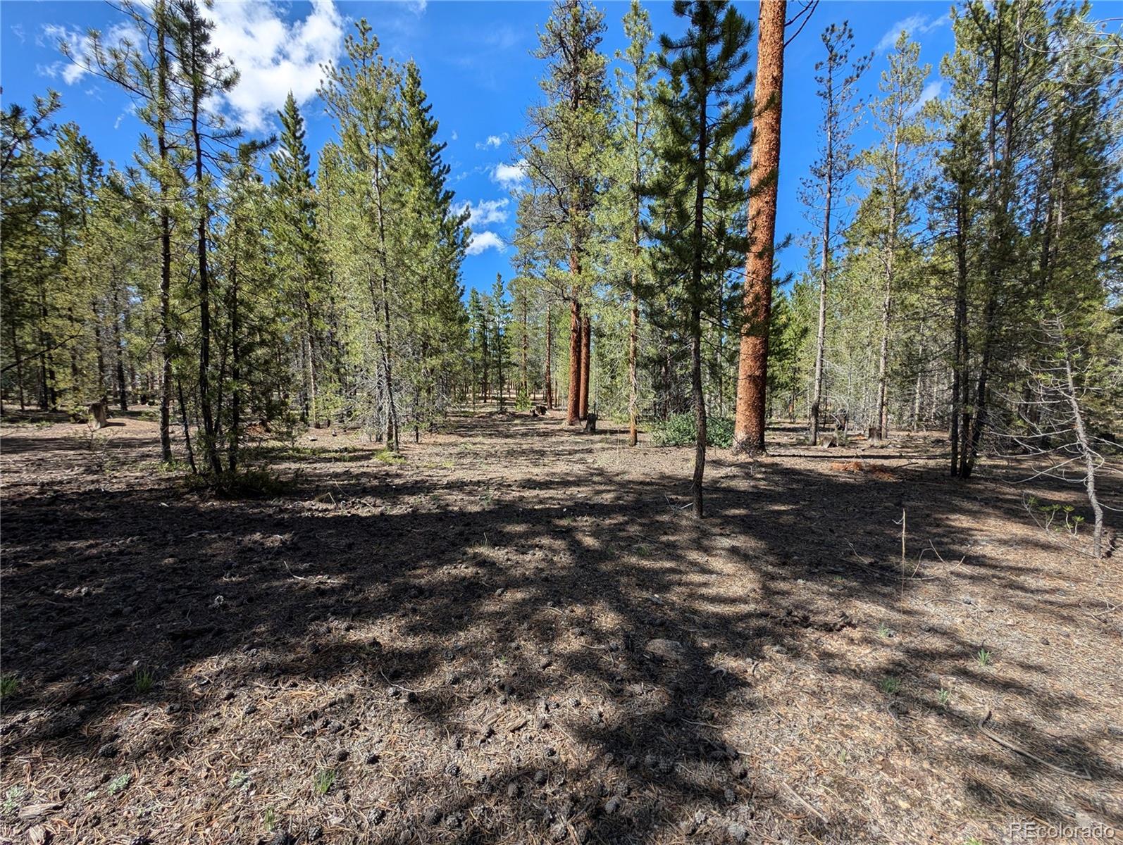 495 Birch Drive Twin Lakes CO 81251