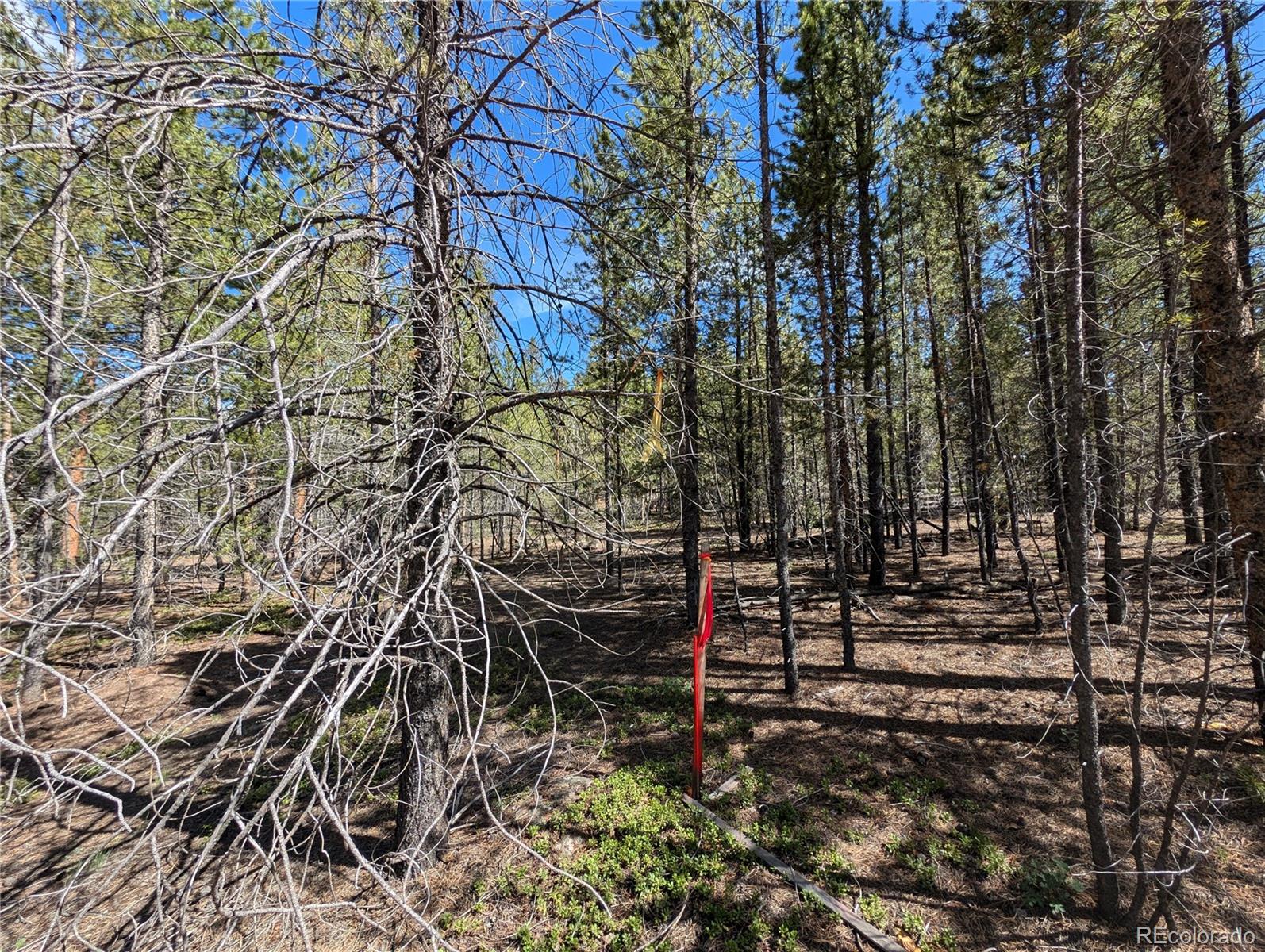 495 Birch Drive Twin Lakes CO 81251