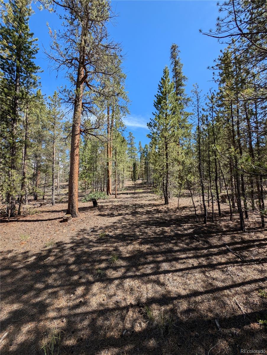 495 Birch Drive Twin Lakes CO 81251