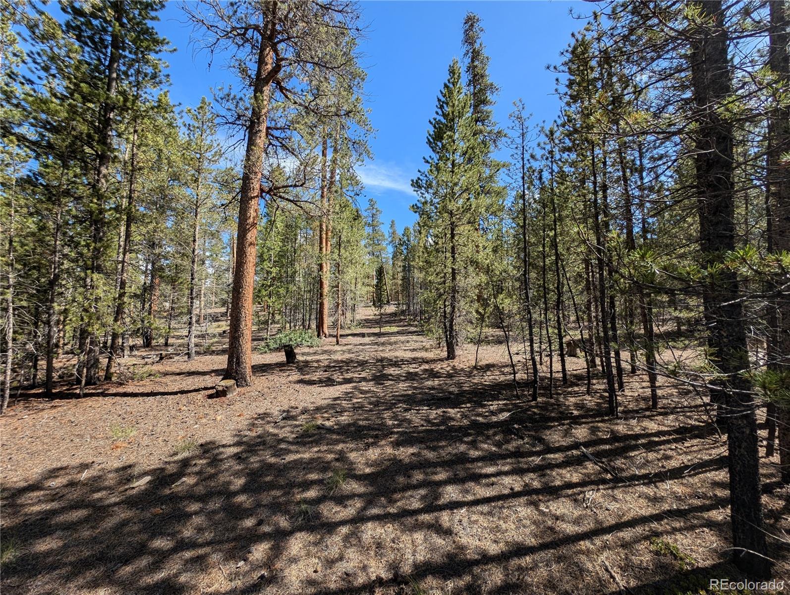 495 Birch Drive Twin Lakes CO 81251