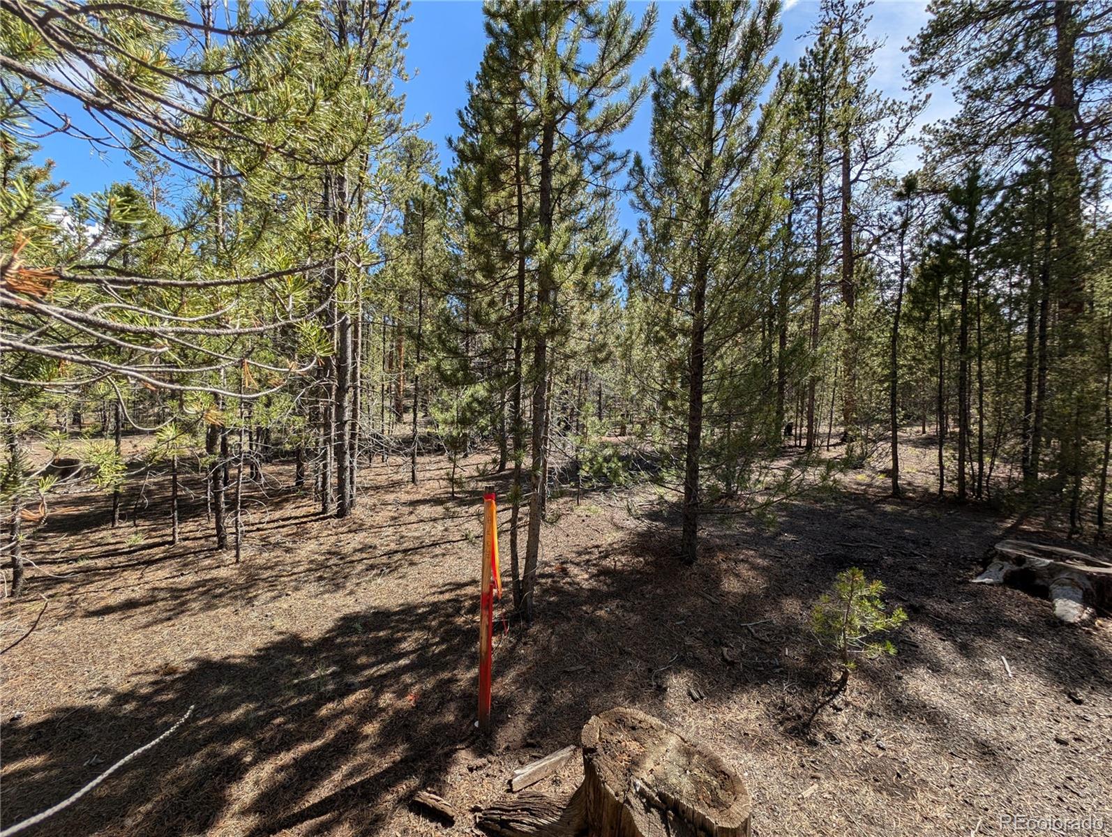 495 Birch Drive Twin Lakes CO 81251