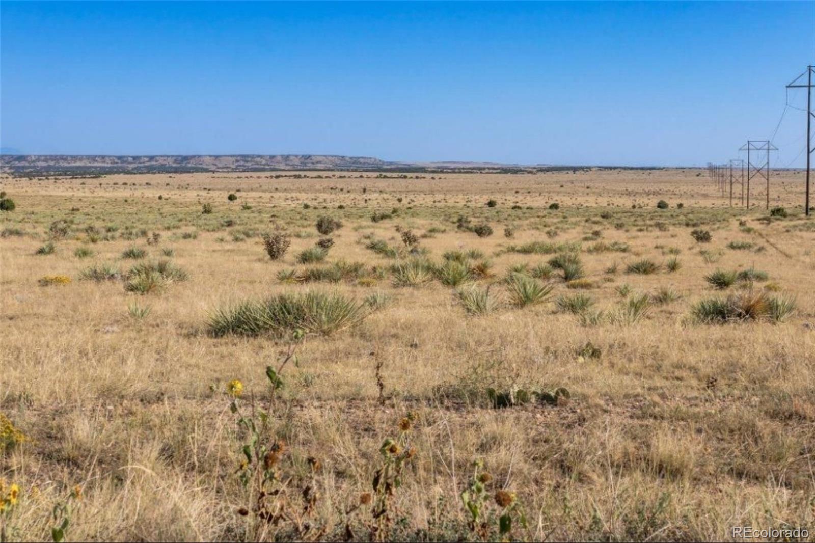 Lot# 232 Turkey Ridge Ranch Walsenburg CO 81089