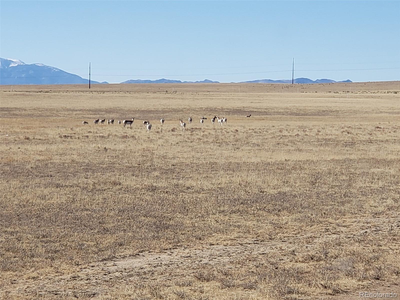 7510 Cowboy Ranch View Peyton CO 80831