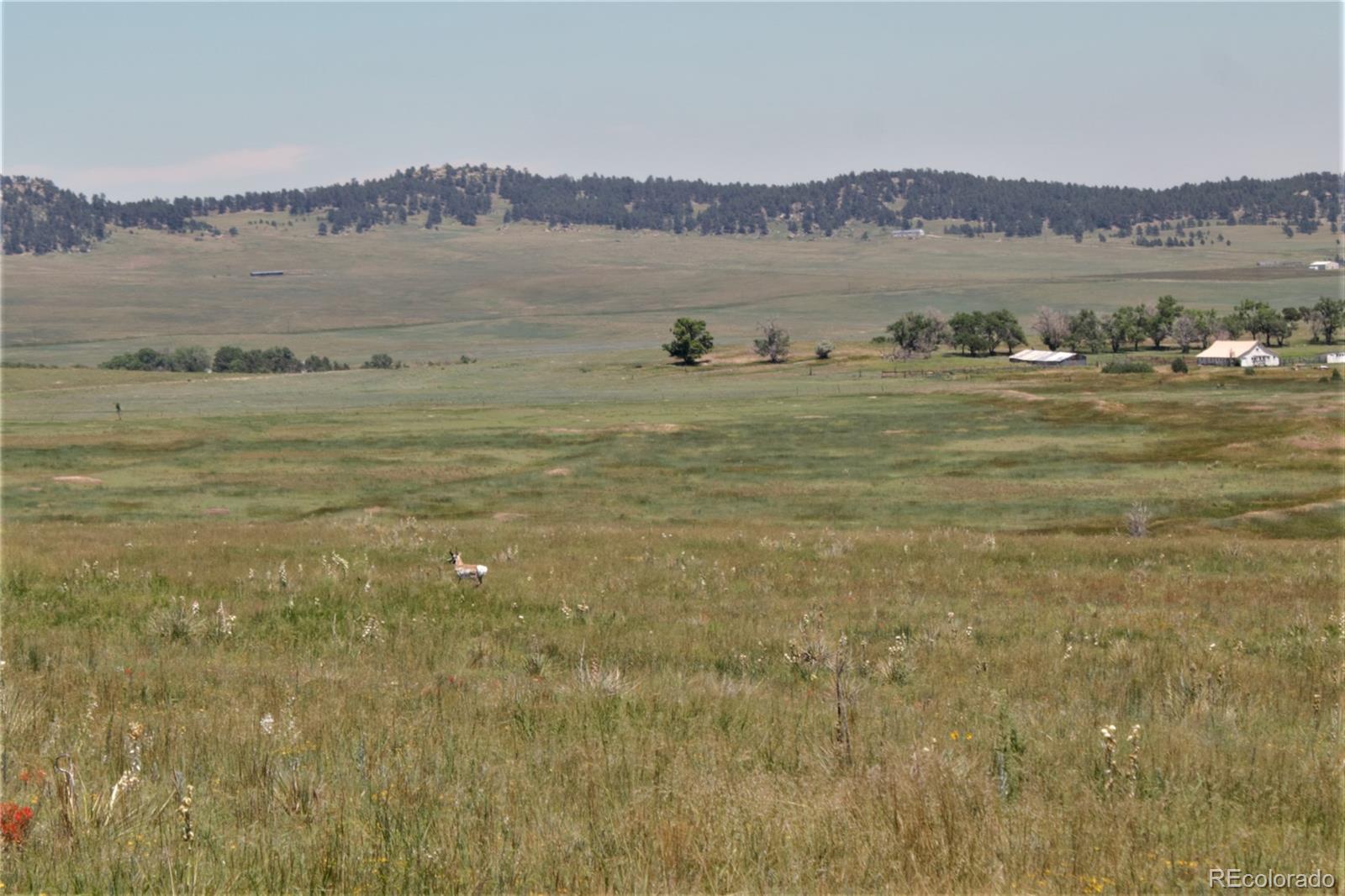Tract 23 Sweet Road Calhan CO 80808