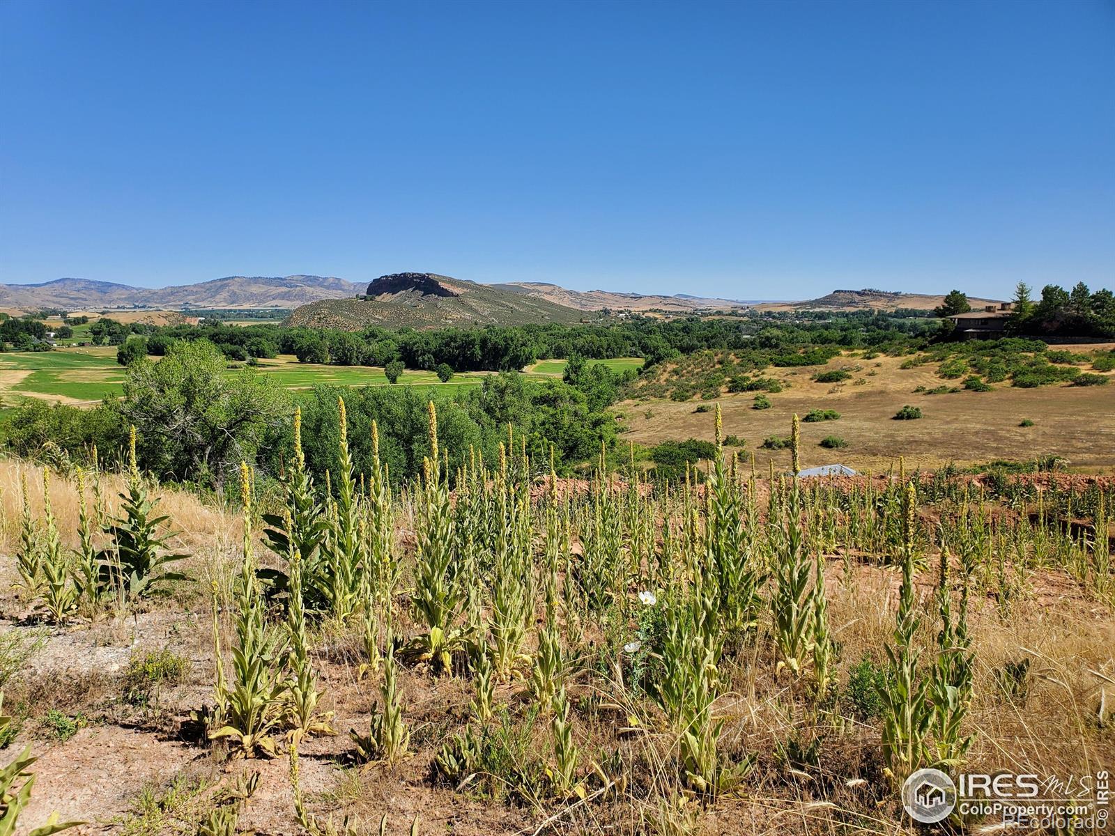 4516 Bingham Hill Road Fort Collins CO 80521