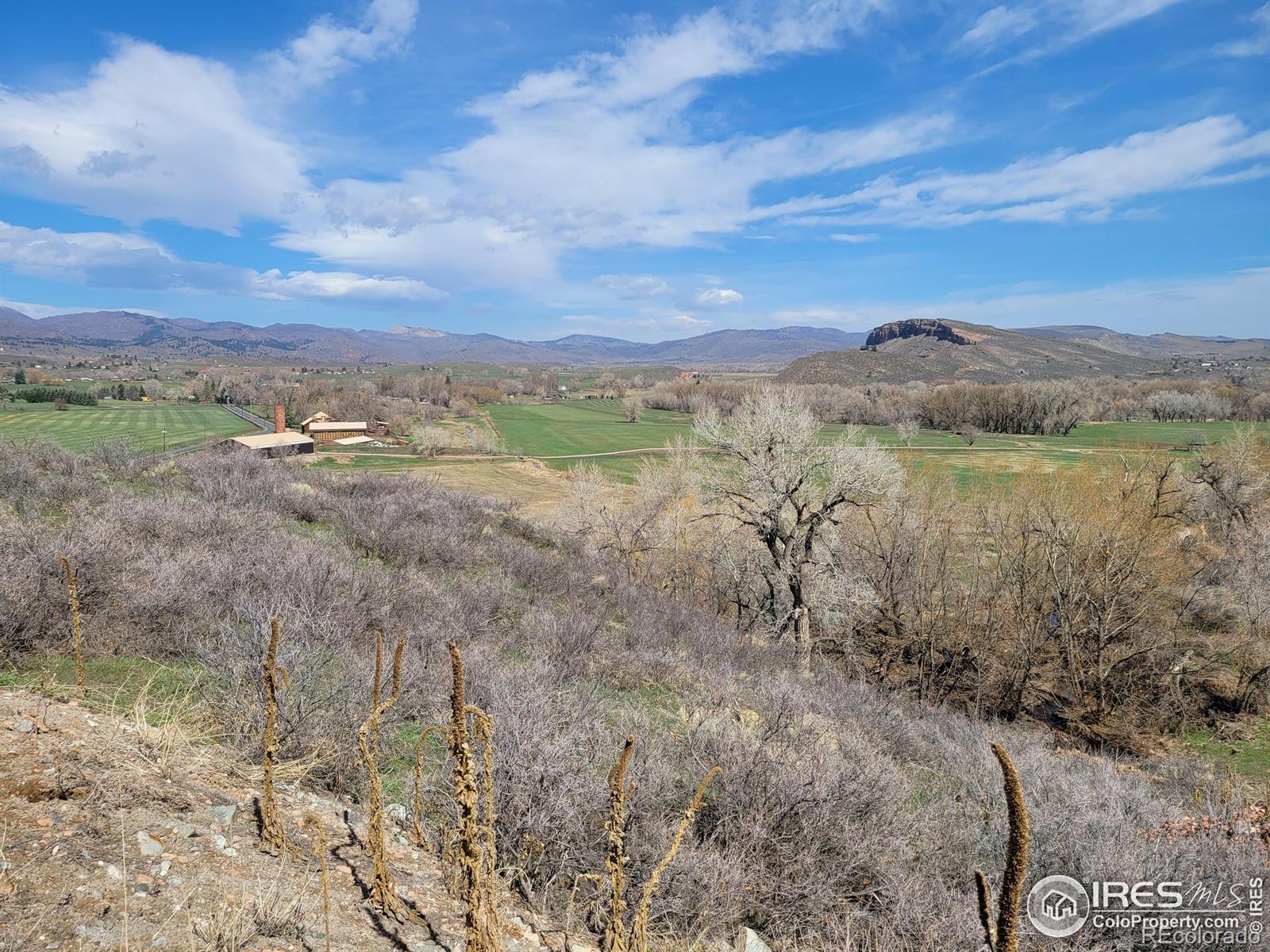 4516 Bingham Hill Road Fort Collins CO 80521