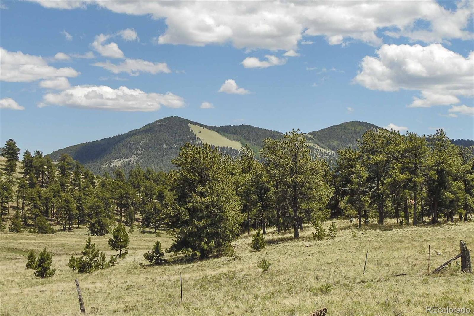 129 Eagle Nest Trail Guffey CO 80820