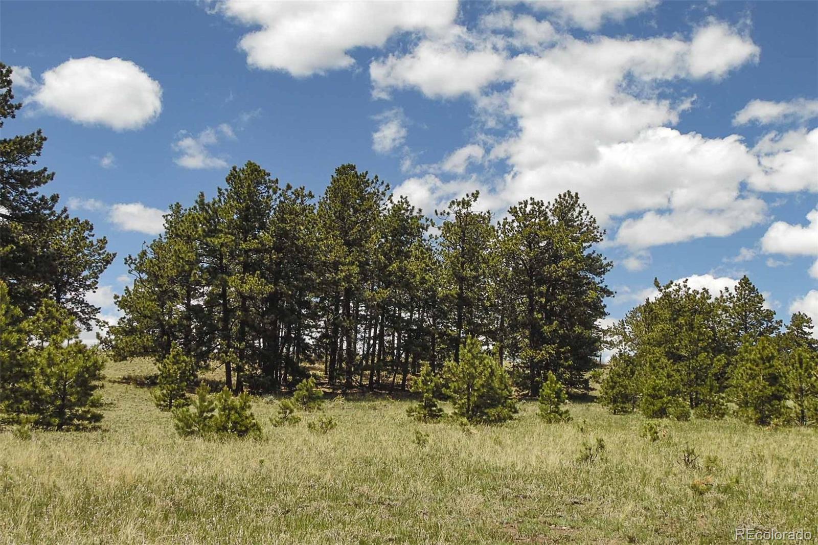 129 Eagle Nest Trail Guffey CO 80820