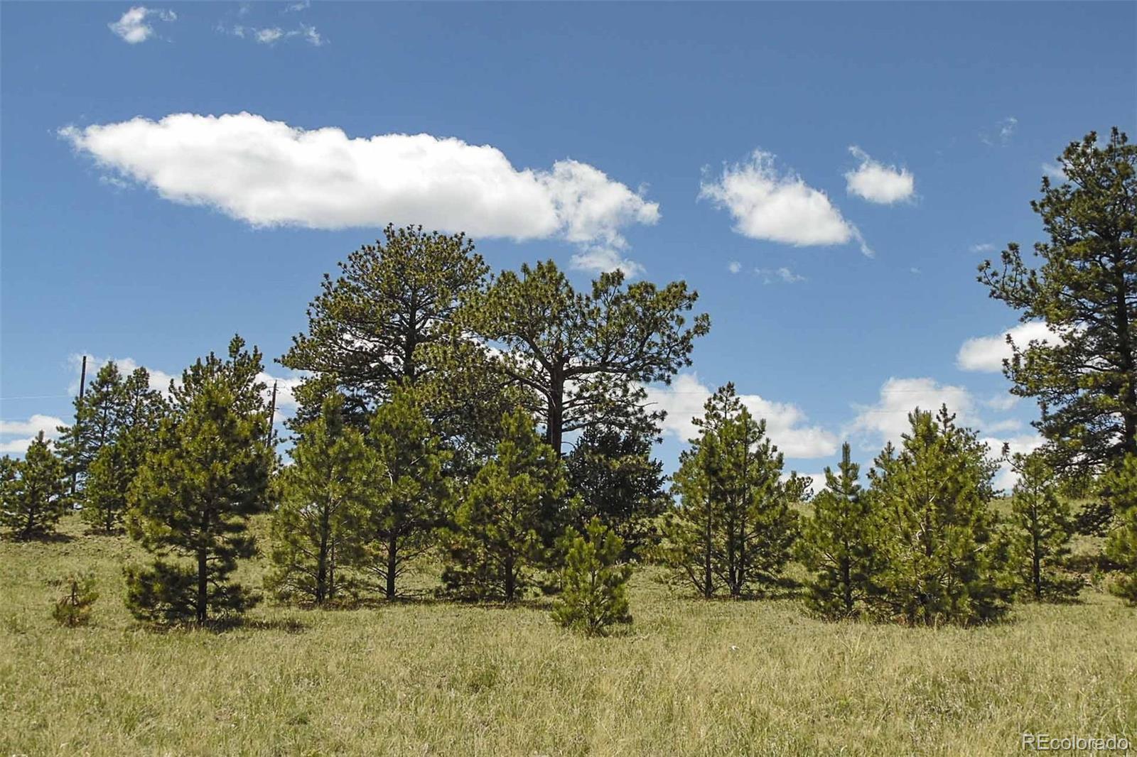 129 Eagle Nest Trail Guffey CO 80820