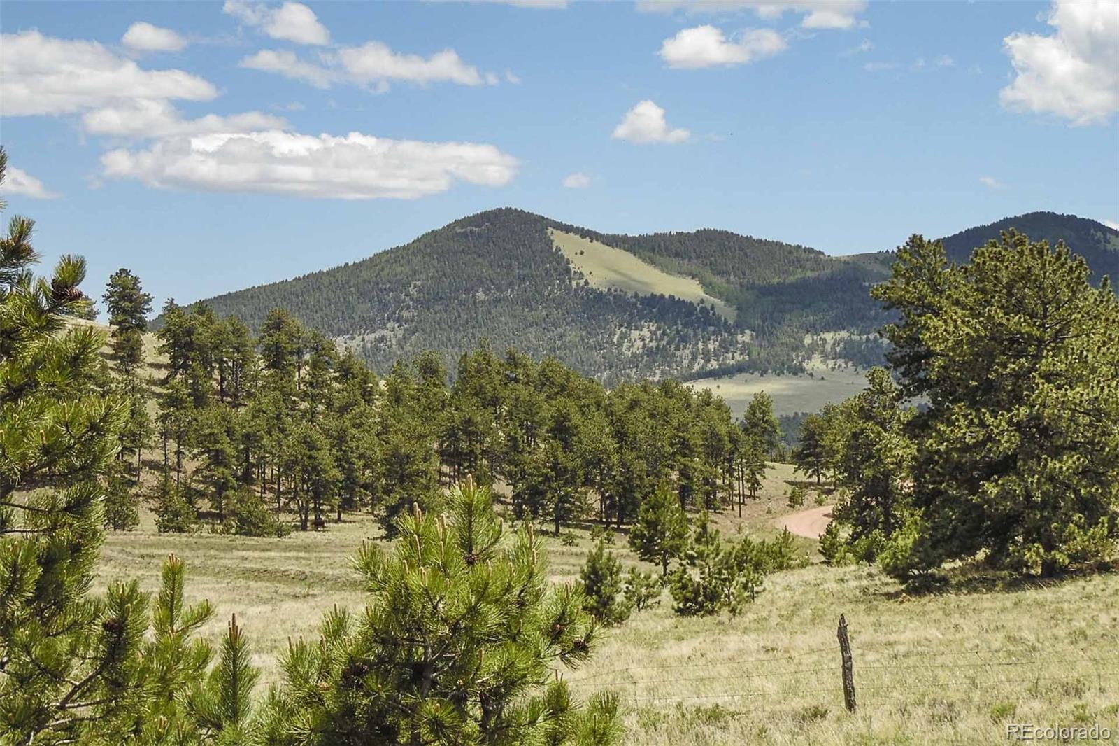 129 Eagle Nest Trail Guffey CO 80820