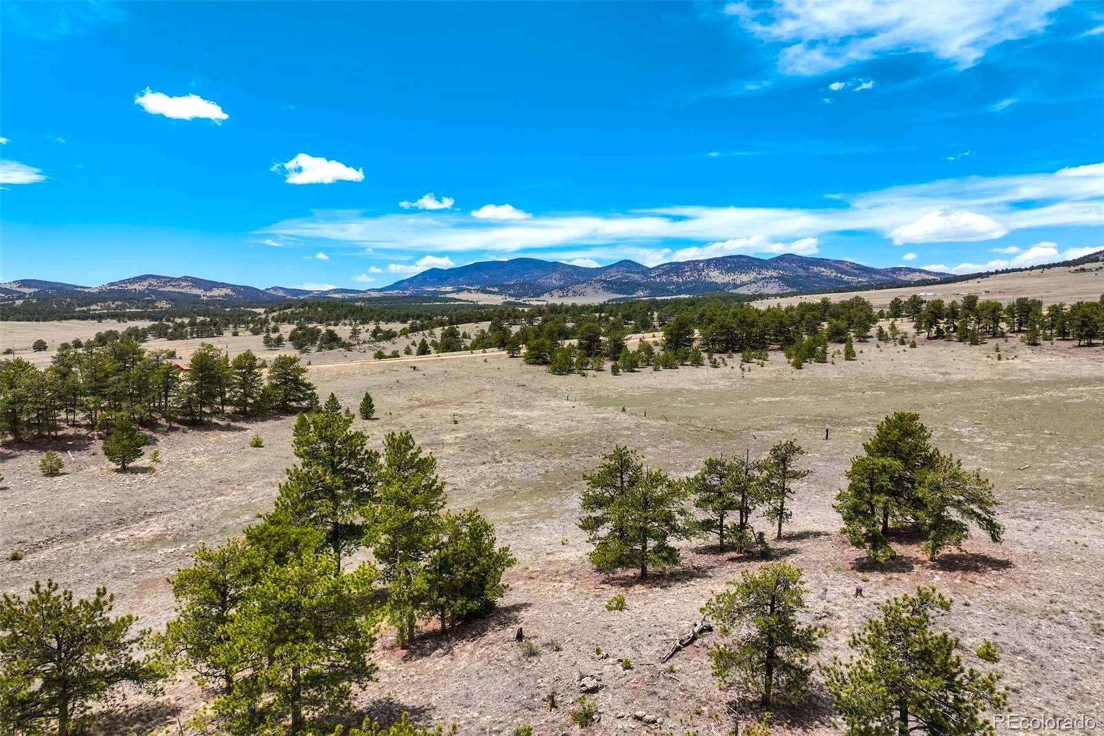 129 Eagle Nest Trail Guffey CO 80820